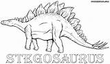Stegosaurus Coloring Colorings sketch template