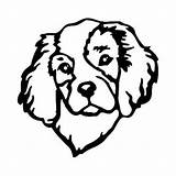 Spaniel Cavalier Charles King Dog Coloring Pages Cocker Drawing Car Decal Stickers Vinyl 7cm Decorative Pet Window Printable Getcolorings Charle sketch template