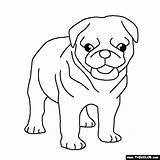 Pug Coloring Pages Puppy Dogs Pugs Cute Puppies Baby Dog Thecolor Line Colouring Outline Color Sheets Drawing Animals Bulldog French sketch template