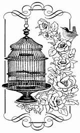 Bird Cage Vintage Coloring Pages Birdcage Birds Stamps Glass Adult Books Available Now Beautiful Colouring Sheets Clip Book Digi Visit sketch template