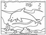 Whale Coloring Blue Pages Island Dolphins Dolphin Print Getcolorings Search Again Bar Case Looking Don Use Find sketch template