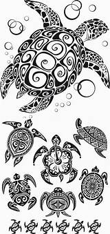 Turtle Tattoo Stencils Tribal Tattoos sketch template