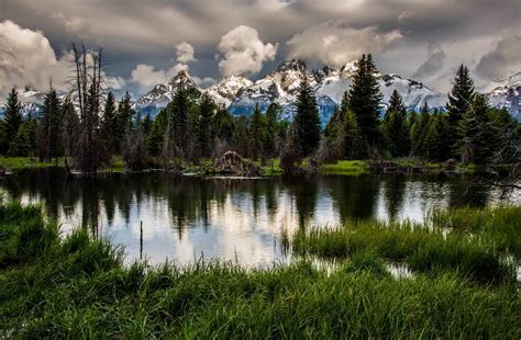 visiting grand teton national park   spring photojeepers