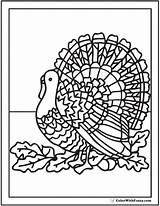 Turkey Coloring Pages Tom Printable Realistic Wild Thanksgiving Detailed Colorwithfuzzy sketch template