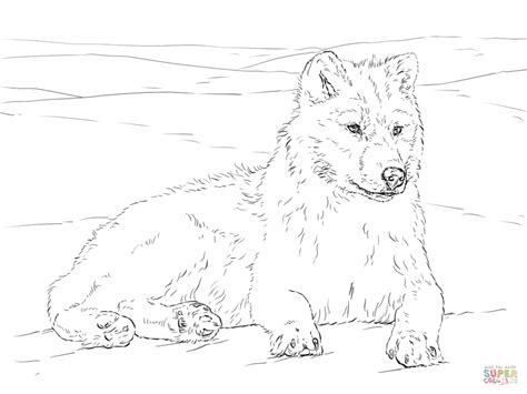 realistic wolf coloring pages  adults  printable