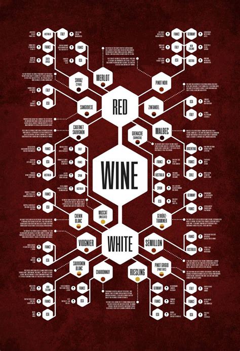 The Ultimate Wine Flow Chart Wine Diagram Poster By Jason Haynes Wine