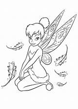 Coloring Campanilla Tinkerbell Dibujosparacolorear Fairy sketch template