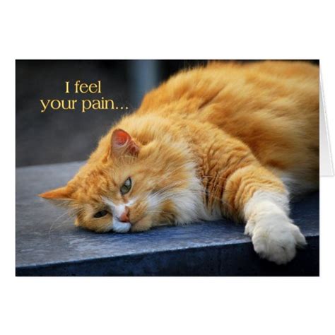 I Feel Your Pain Feel Purr Fect Soon Orange Cat Card