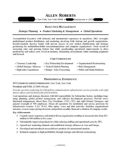 ceo executive resume sample professional resume examples topresume