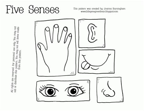 printable  senses coloring pages coloring pages coloring home