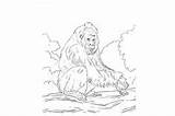 Coloring Kids Pages Gorilla Lowland Western Forests Mammals Congo Westerns Republic African sketch template
