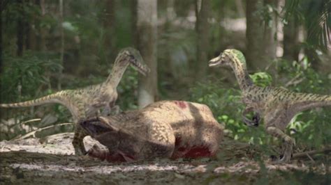 Image Tgc Velociraptorpairkillsprotoceratops