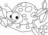 Ladybug Coloring Pages Bug Printable Colouring Ladybird Drawing Lady Color Kids Girl Print Toddlers Cute Lightning Getcolorings Animal Animals Marvelous sketch template