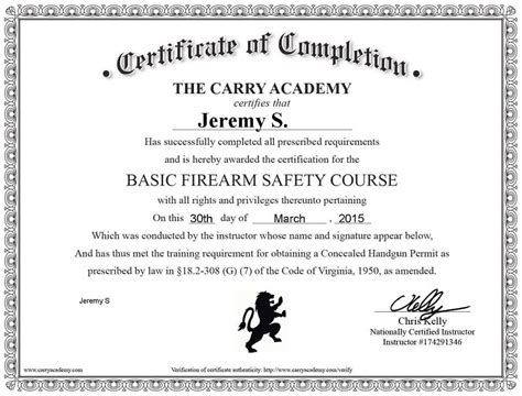 review  carry academys  ccw safety   truth  guns