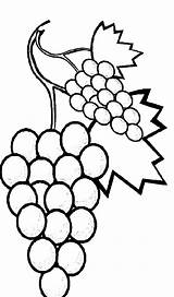 Grapes Coloring Pages Fruits Sweet Favorite Color Printable Vine Getcolorings Print sketch template