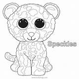 Beanie Boos Koala Plushy Xcolorings Maddie Kooky sketch template