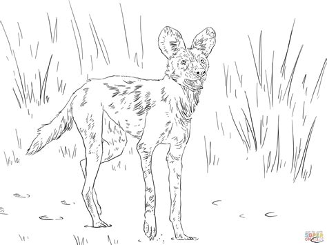 african wild dog  painted hunting dog coloring page  coloring home
