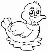 Duckling Ducklings sketch template