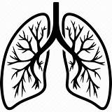 Lungs Lung Organ Breathing Breathe Svg Monochrome Virus Corona sketch template