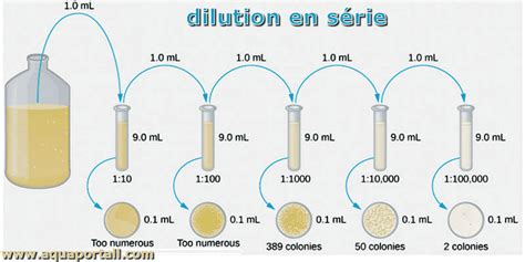 dilution definition  explications