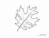 Leaf Templates Oak Template Coloring Printables Kids Pages Printable Drawing Getdrawings Leave Van sketch template