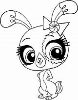 Pet Shop Littlest Coloring Pages Bunny Buttercream Drawing Getdrawings Printable Getcolorings sketch template