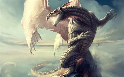 dragon wallpapers backgrounds images pictures design trends