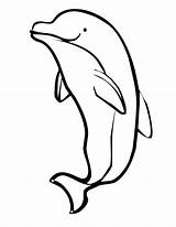 Dolphin Dolphins Viawww sketch template