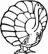 Cooked Turkey Clipart Coloring Scared Turkeys Drawing Cliparts Library Popular Clip sketch template