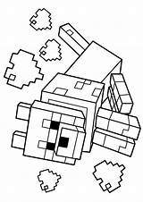 Coloring Minecraft Pages Little Kelly Template sketch template