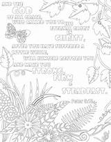 Coloring Create Pages Fiverr Screen sketch template