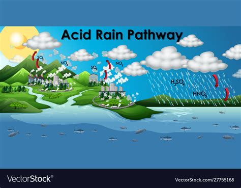 Water Acid Rain Diagram