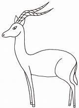 Impala Coloring Pages Animals Animal Drawing Antelope Color Print Printable Designlooter Getdrawings Sheet African Badge Wood 4kb Colouring Drawings Car sketch template
