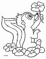 Coloring Skunk Flower Pages Popular sketch template