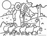 Coloring Shepherd Good Sheep Colouring Artículo Craftingthewordofgod sketch template