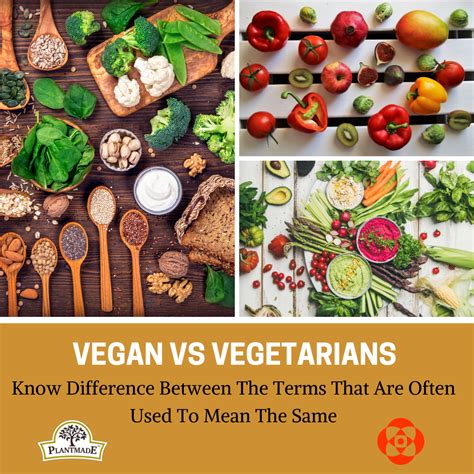 vegan  vegetarian  difference  poonam gupta plantmade medium