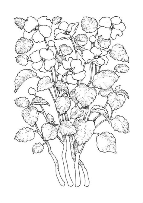flower coloring  printable coloring pages  adults  trace