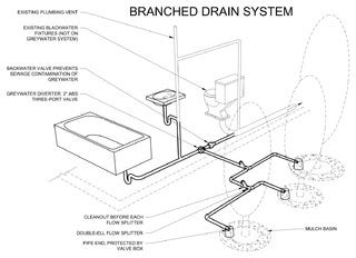 branched drain diagram