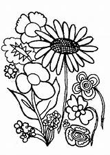 Plants Coloring Various Type Flower sketch template