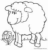 Coloring Sheep Pages Eid Adha Lamb Al Animal Color Islam Ul Sheets Printable Cute Kids Familyholiday Colouring Animals Most Farm sketch template