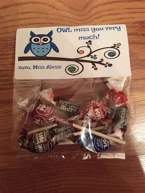 owl     goodie bags student teaching gifts gifted