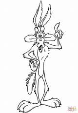 Coyote Wile Coloring Pages Cartoon Looney Tunes Drawing Road Runner Wiley Clipart Printable Baby Colorear Foghorn Leghorn Color Template Popular sketch template