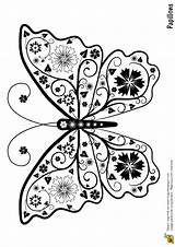 Papillon Hugolescargot Adulte sketch template