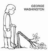 Washington Tree Coloring Cherry George State Clip Popular Library Clipground Coloringhome sketch template