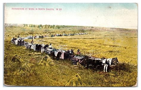 early  horse drawn harvesters  work  south dakota farming ag postcard topics nature