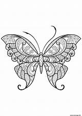 Coloriage Papillon Jolis Motifs sketch template