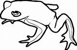 Coloring Amphibian Frog Theresa Knott Wecoloringpage Pages sketch template