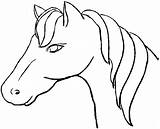 Cavalli Colorare Paarden Paard Face Testa sketch template
