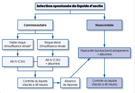 Infection Du Liquide Dascite Diagnostic Traitement Et Prévention