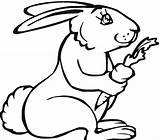 Rabbit Coloring Pages Printable Kids sketch template